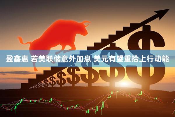 盈鑫惠 若美联储意外加息 美元有望重拾上行动能
